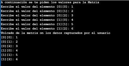 Salida de Matriz Bidimensional