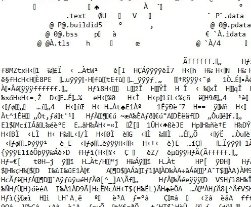 Código ejecutable en Representación ASCII