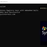Registry Usage (RU) – SysInternals